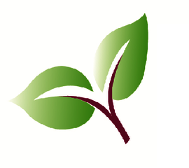 Kraki Logo